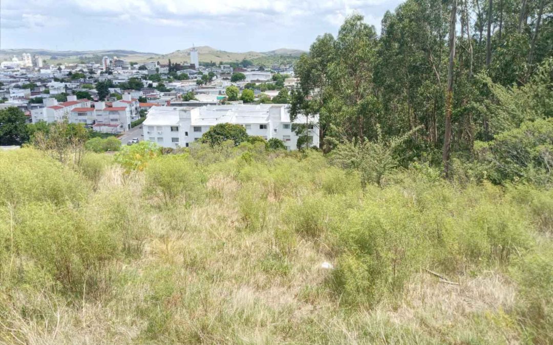 TERRENO – CALLE CHICA