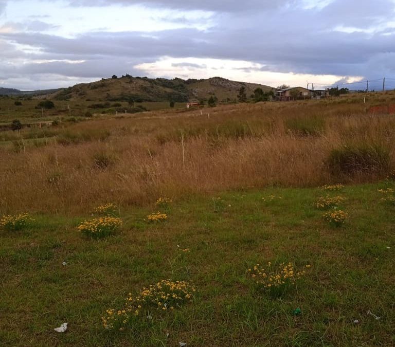 TERRENO SAN FRANCISCO DE LAS SIERRAS 2