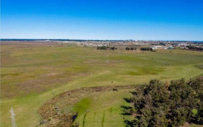 CAMPO – RUTA 60