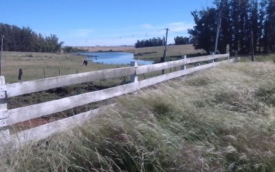 VENTA DE CAMPO EN GAETAN